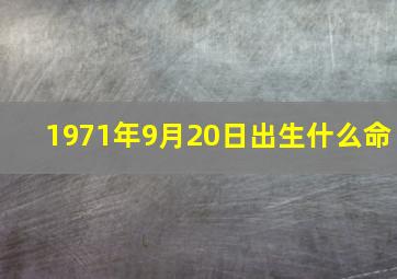 1971年9月20日出生什么命