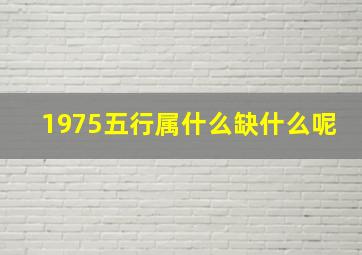 1975五行属什么缺什么呢