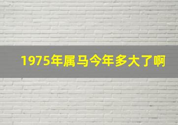 1975年属马今年多大了啊