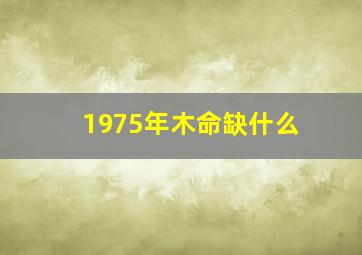 1975年木命缺什么