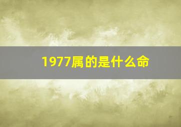 1977属的是什么命