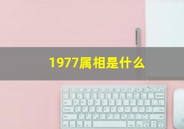 1977属相是什么