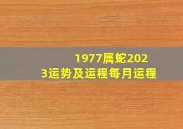 1977属蛇2023运势及运程每月运程