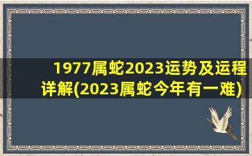 1977属蛇2023运势及运程详解(2023属蛇今年有一难)