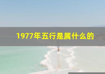 1977年五行是属什么的