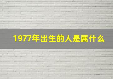 1977年出生的人是属什么