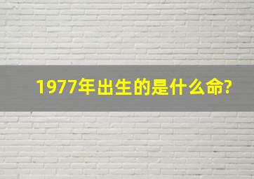 1977年出生的是什么命?