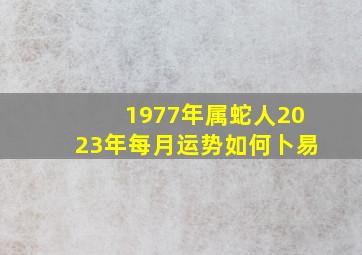 1977年属蛇人2023年每月运势如何卜易