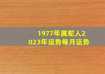 1977年属蛇人2023年运势每月运势