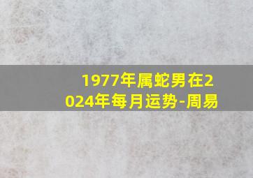 1977年属蛇男在2024年每月运势-周易