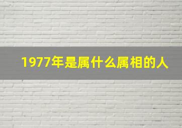 1977年是属什么属相的人