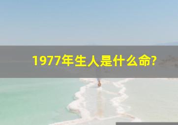 1977年生人是什么命?