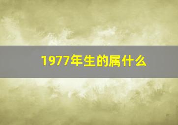 1977年生的属什么