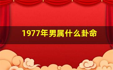 1977年男属什么卦命