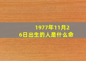 1977年11月26日出生的人是什么命