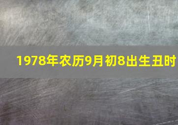 1978年农历9月初8出生丑时