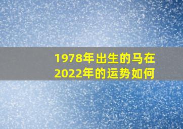 1978年出生的马在2022年的运势如何