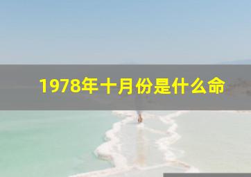 1978年十月份是什么命