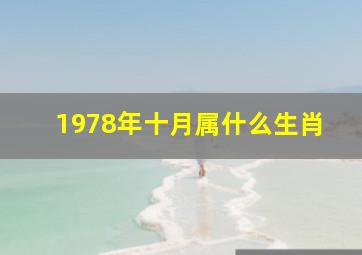 1978年十月属什么生肖