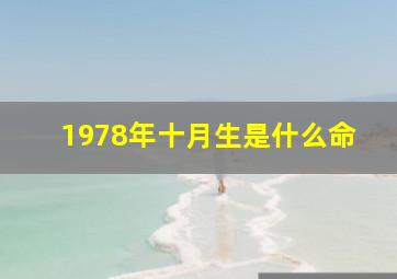 1978年十月生是什么命