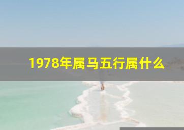 1978年属马五行属什么