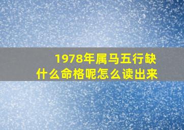 1978年属马五行缺什么命格呢怎么读出来