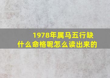 1978年属马五行缺什么命格呢怎么读出来的