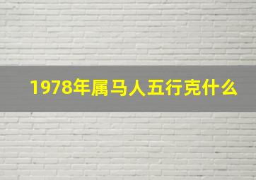 1978年属马人五行克什么