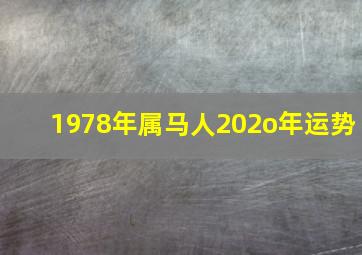 1978年属马人202o年运势