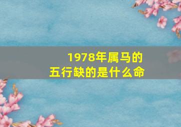 1978年属马的五行缺的是什么命