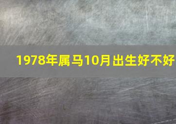 1978年属马10月出生好不好