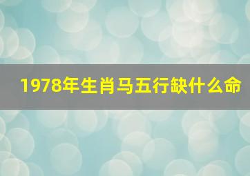 1978年生肖马五行缺什么命