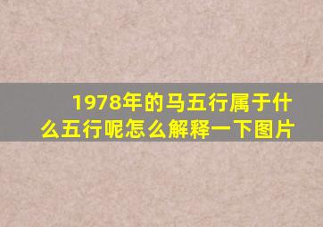 1978年的马五行属于什么五行呢怎么解释一下图片