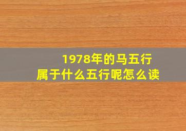 1978年的马五行属于什么五行呢怎么读