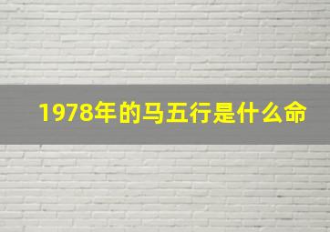 1978年的马五行是什么命