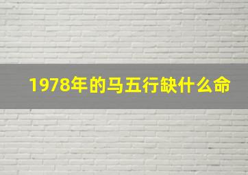 1978年的马五行缺什么命