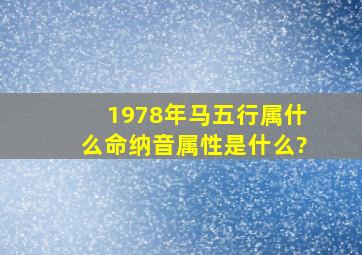 1978年马五行属什么命纳音属性是什么?