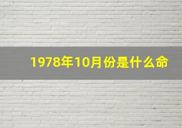 1978年10月份是什么命