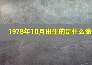 1978年10月出生的是什么命