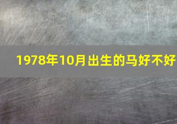 1978年10月出生的马好不好