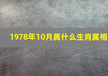 1978年10月属什么生肖属相