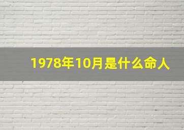 1978年10月是什么命人