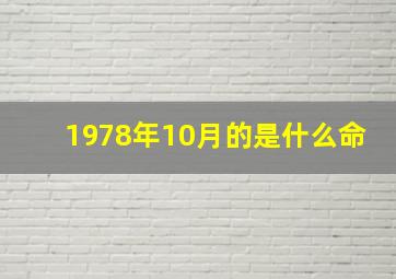 1978年10月的是什么命