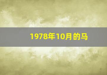 1978年10月的马