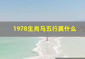 1978生肖马五行属什么