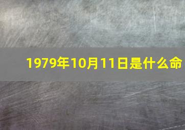 1979年10月11日是什么命