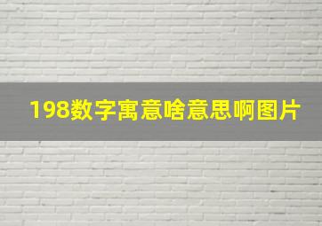 198数字寓意啥意思啊图片