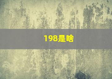 198是啥