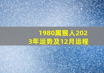 1980属猴人2023年运势及12月运程