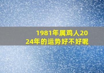 1981年属鸡人2024年的运势好不好呢